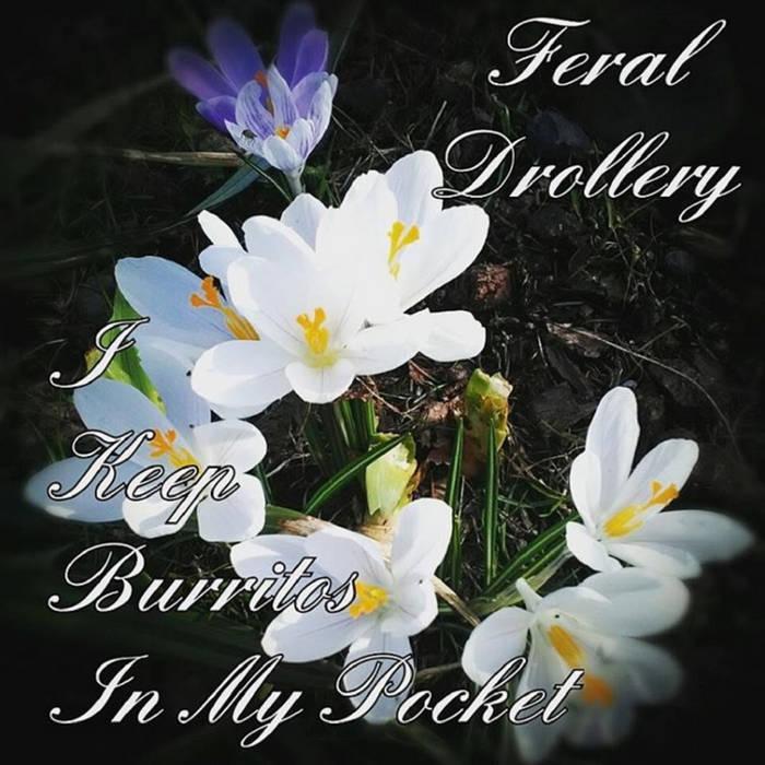 Feral Drollery band image