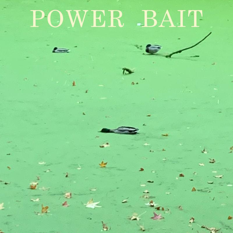 Power Bait band image