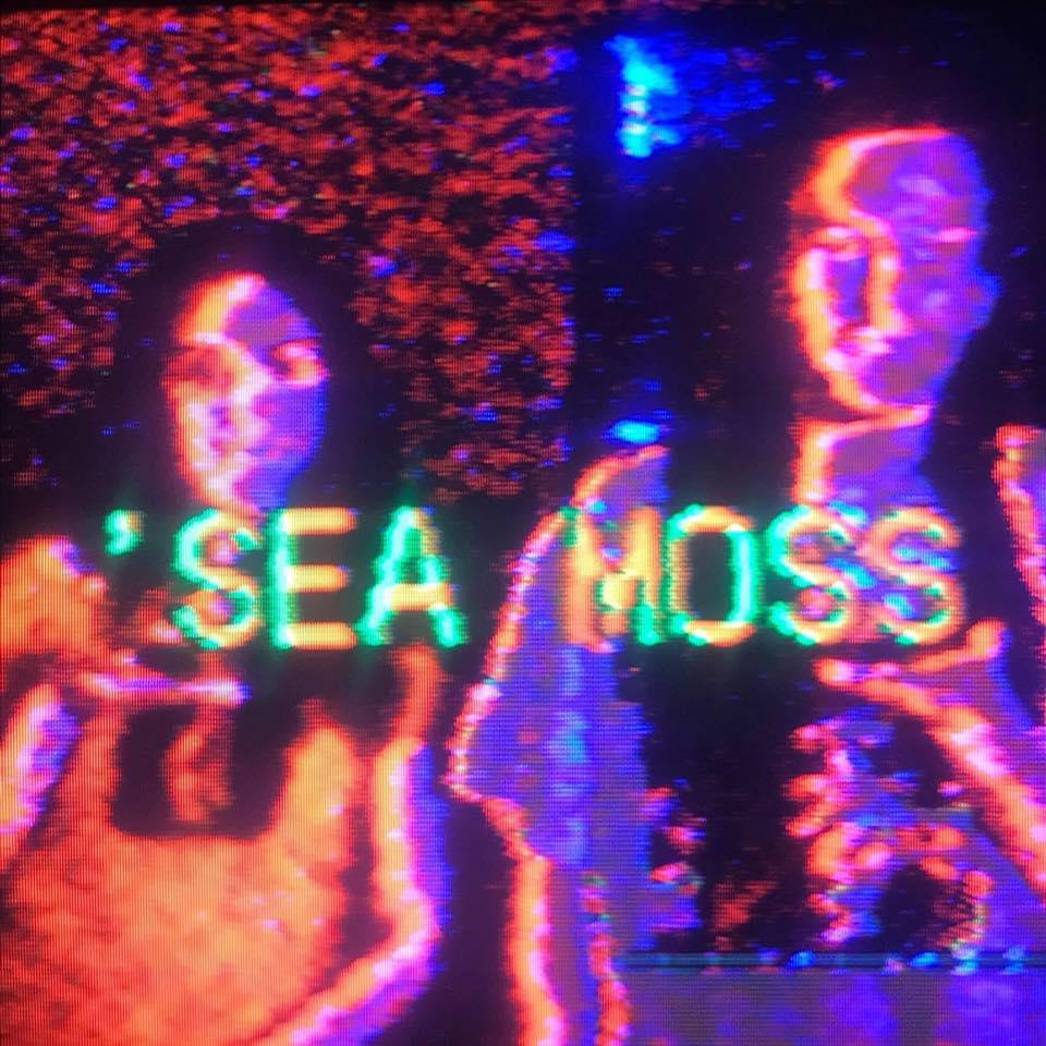 Sea Moss band image