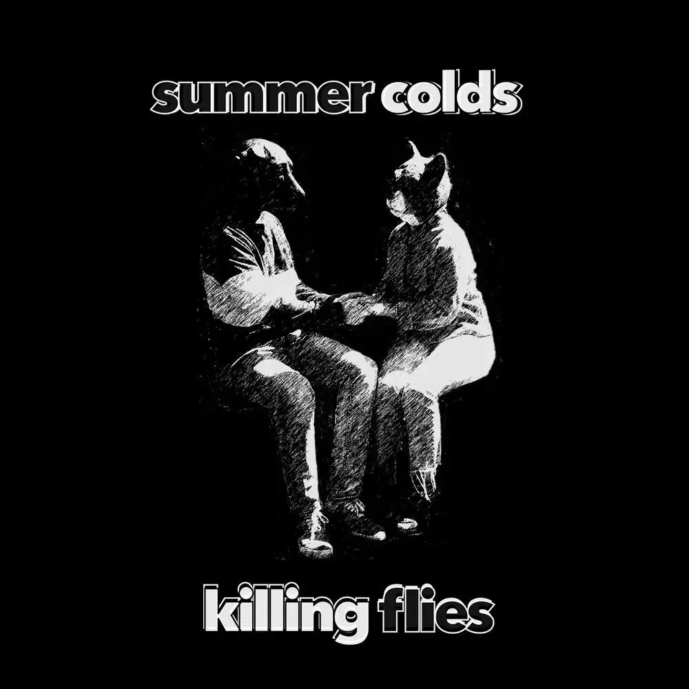 Summer Colds band image