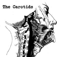 The Carotids band image