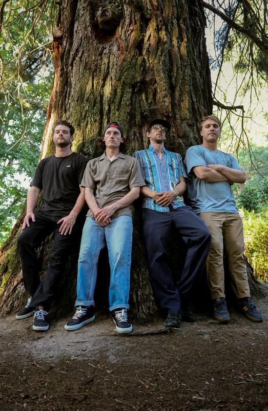 Treefrog band image
