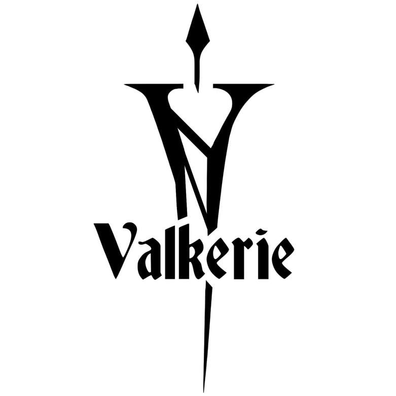 Valkerie band image