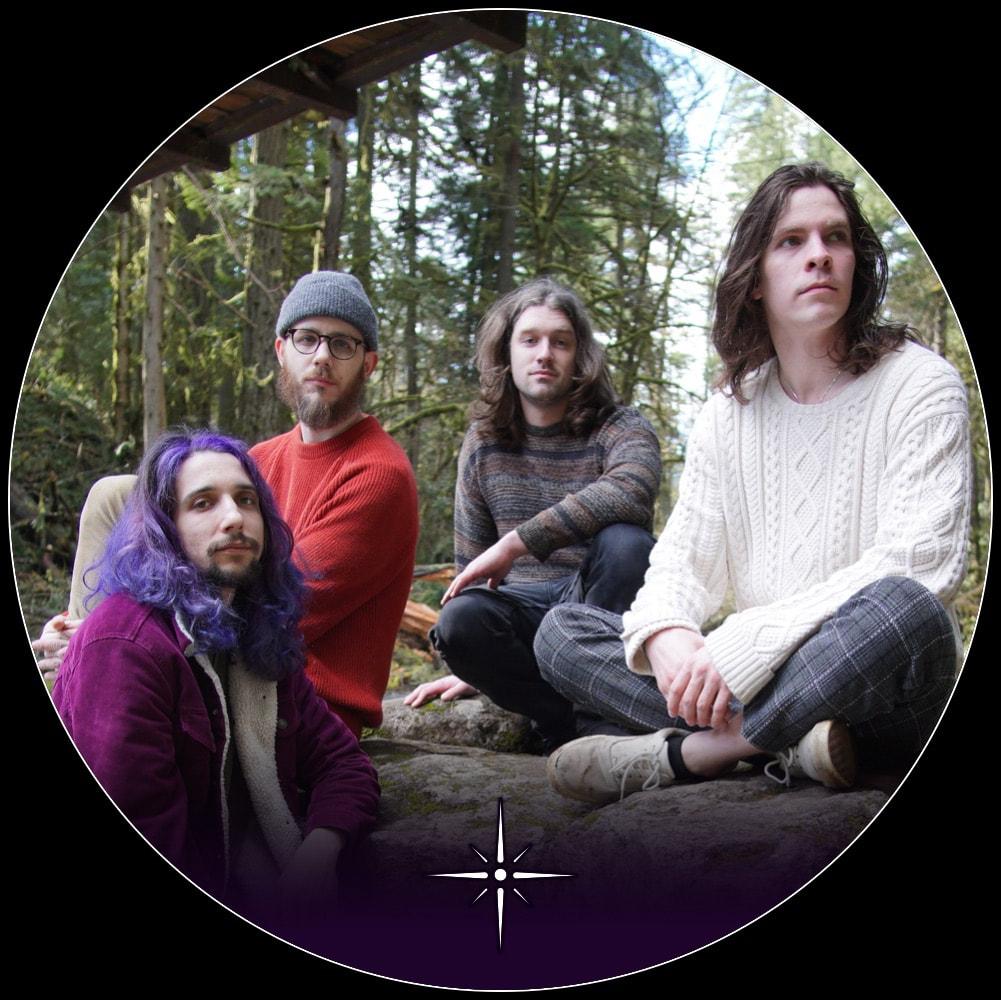 Wavicle band image