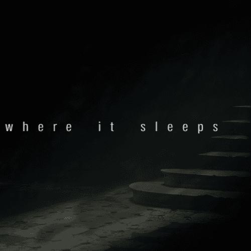 Where It Sleeps band image