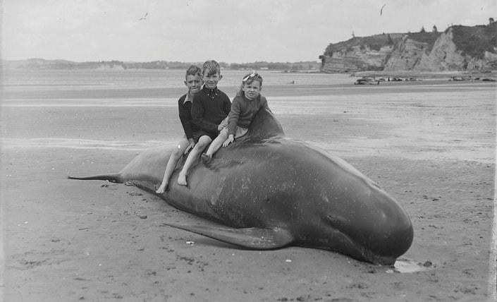 Exploding Whales band image