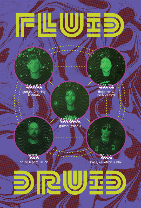 Fluid Druid band image