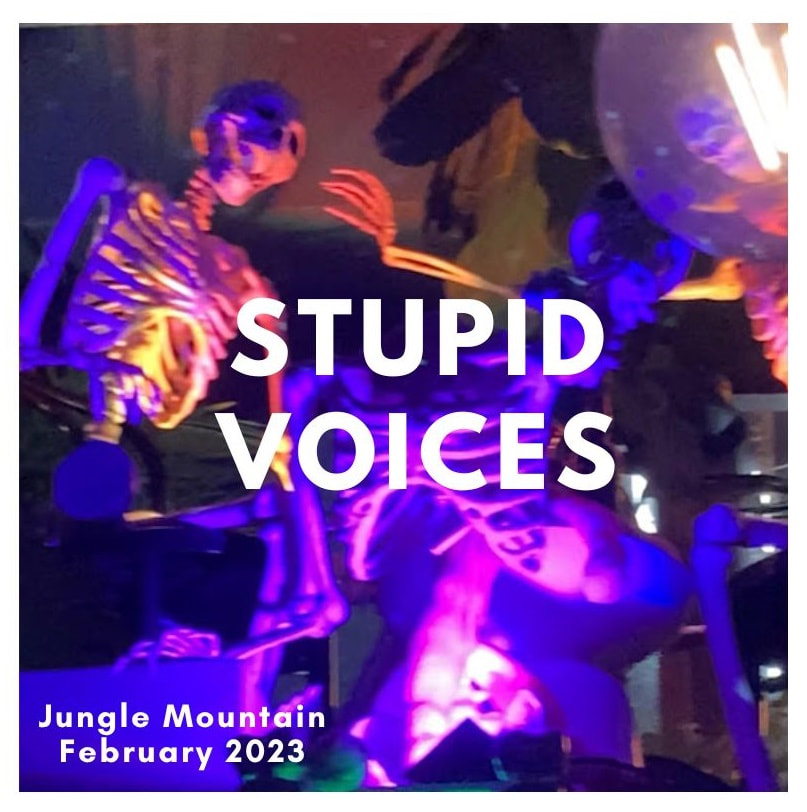 Jungle Mountain band image