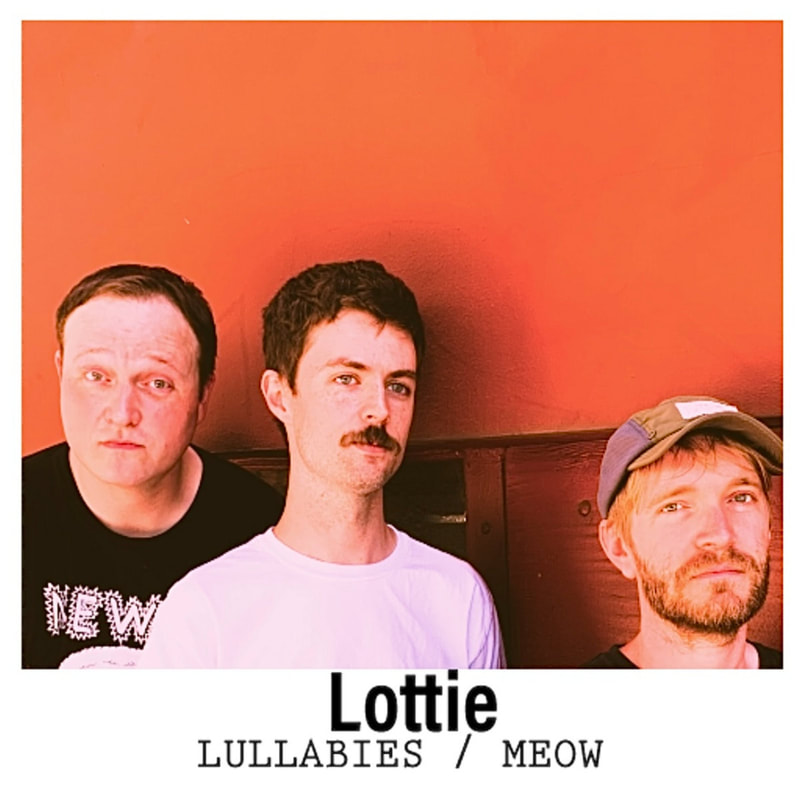 Lottie band image
