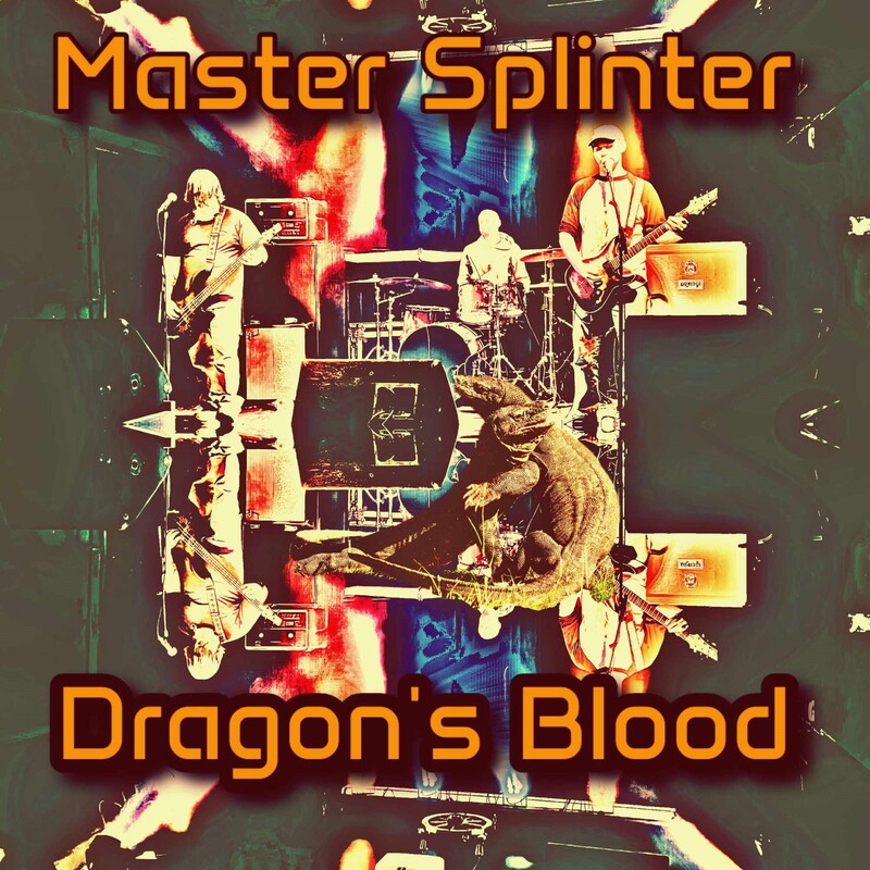 Master Splinter band image