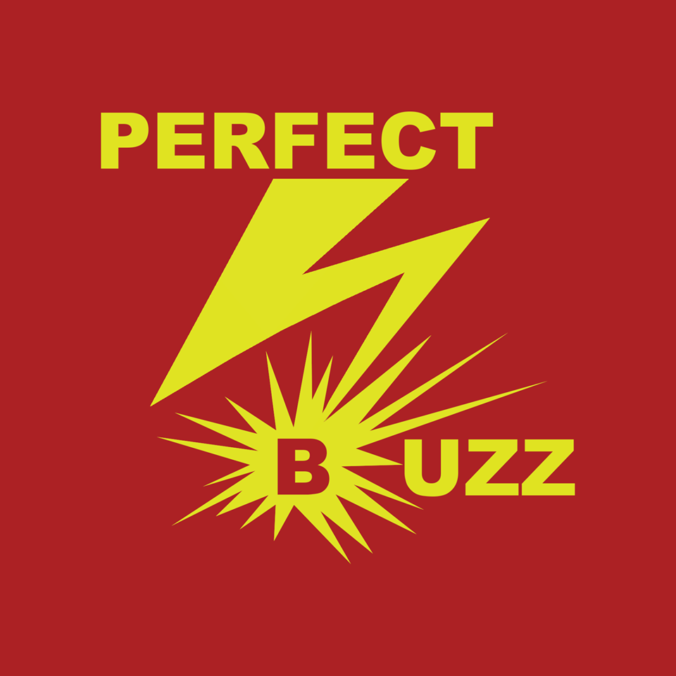 Perfect Buzz band image