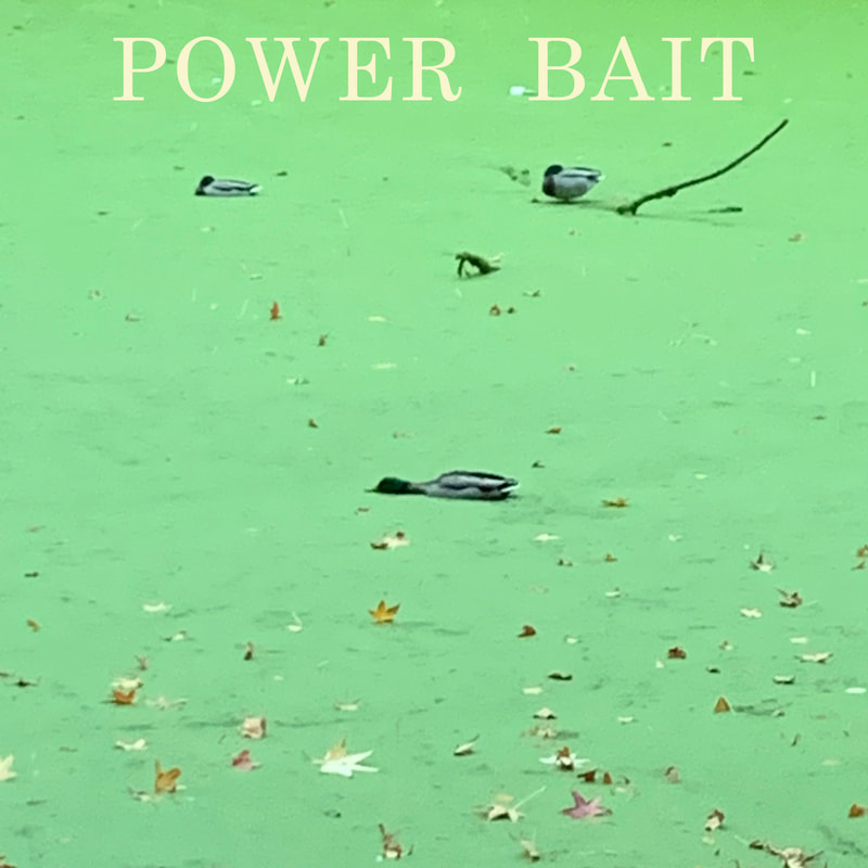 Power Bait band image