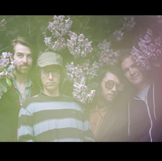 Salo Panto band image