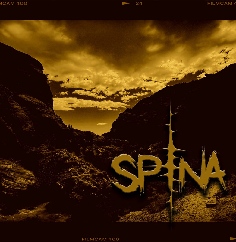 Spina band image