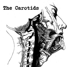 The Carotids band image