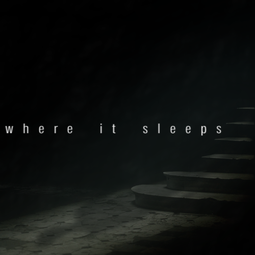 Where It Sleeps band image